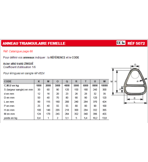 Anneau triangulaire femelle