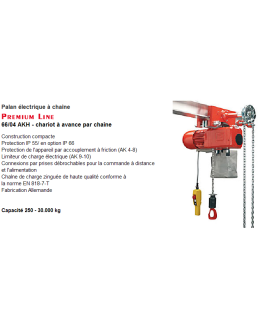 Palan électrique à chaîne Premium Lin