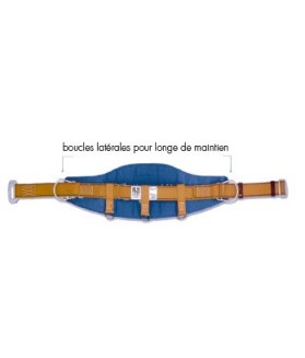 Ceinture de maintien au travail