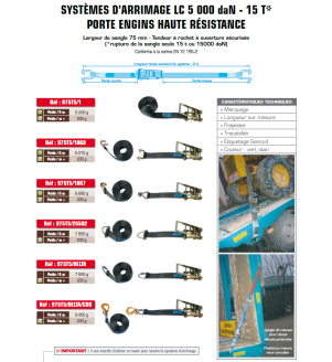 Arrimage extérieur 1000kg / 75mm boucle à rochet