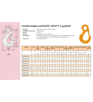 Crochets à œil avec linguet forgé de 1.12 à 32.8 tonnes