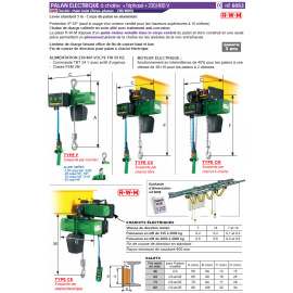 Palan électrique RWM à chaîne 125kg à 4 tonnes 400V tri