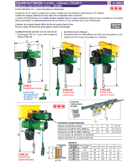 Palan électrique RWM à chaîne 125kg à 4 tonnes 400V tri