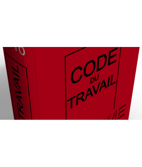 EXTRAIT DU CODE DU TRAVAIL