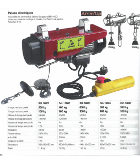 Palan électrique usage occasionnel