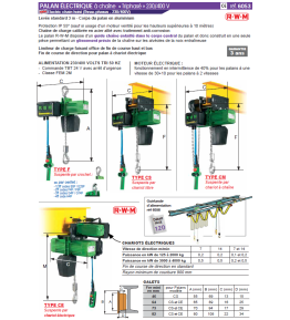 Palan électrique RWM à chaîne 125kg à 4 tonnes 400V tri