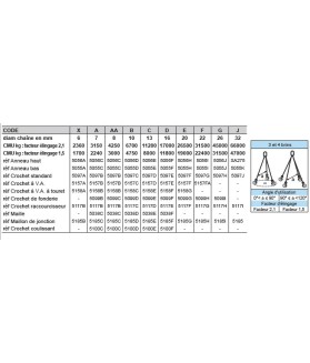 ELINGUE CHAINE 2BRINS GRADE80 AVEC CROCHETS STD A LINGUETS