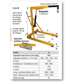 Grue d'atelier 500 kilos