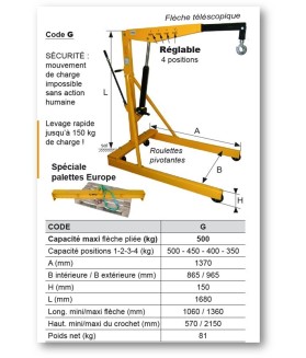 Grue d'atelier 500 kilos