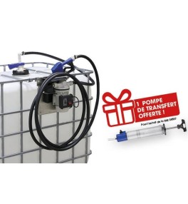 Pompe électrique AdBlue® 230V 330W 34 l/min - kit station pour cuve IBC